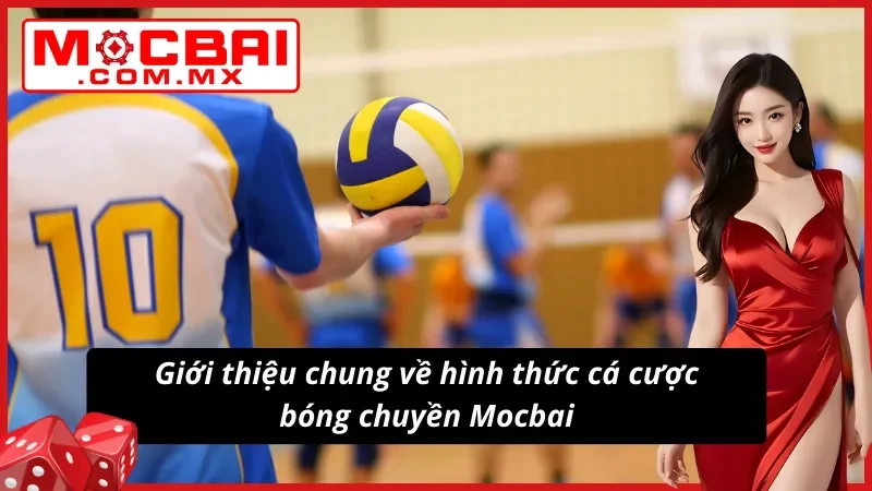 Giới thiệu về hình thức cá độ bóng chuyền siêu hot