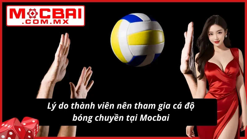 Lý do nên tham gia cá độ bóng chuyền tại website