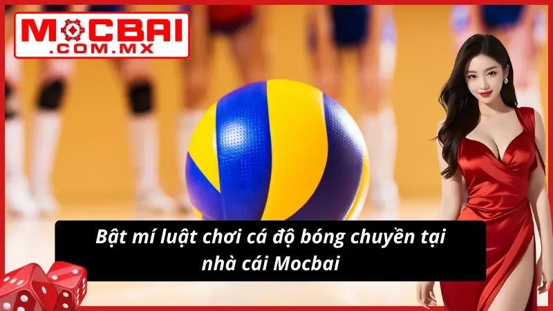 Bật mí luật chơi cá độ bóng chuyền tại nhà cái